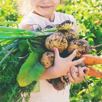 pic_farm pic_farm